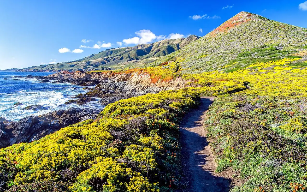 创意高质量稳定性